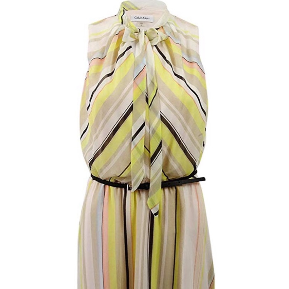 Women's Petite Belted Chiffon Fit & Flare Dress